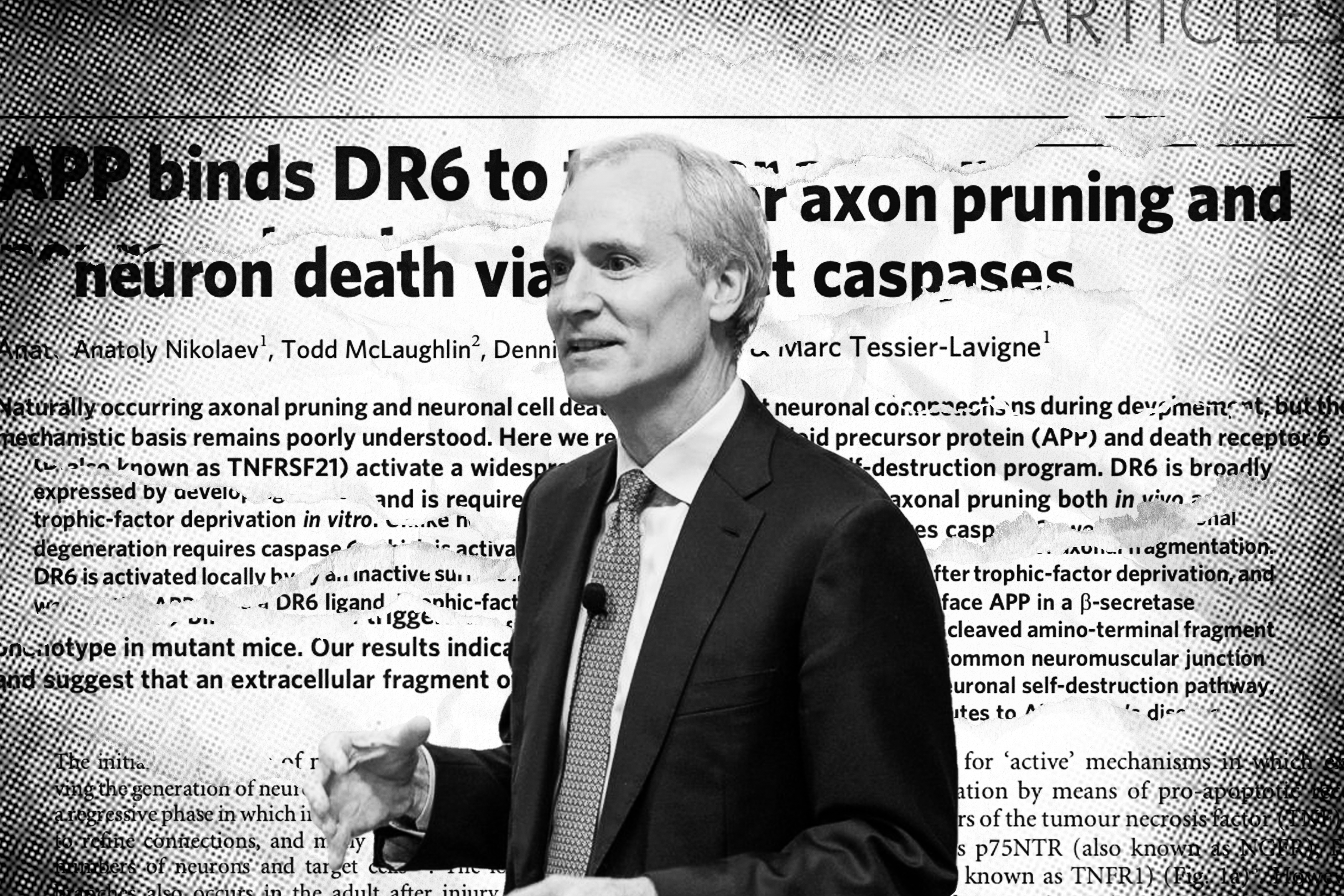 Featured image for "Decade-Long Alzheimer's Study Retracted by Ex-Stanford President Amid Controversy"