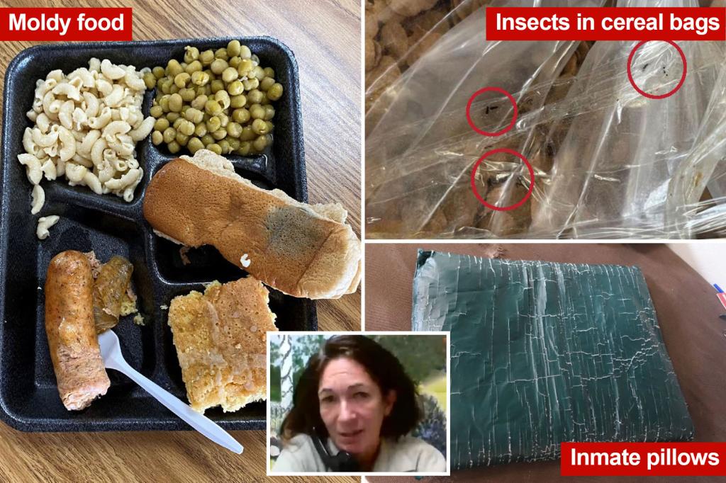 "Unsanitary and Inhumane: Ghislaine Maxwell's Disturbing Conditions in Florida Prison Revealed"