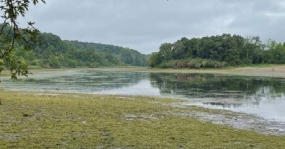 Featured image for Minnesota's Lake Alice Drained Due to Valve Malfunction
