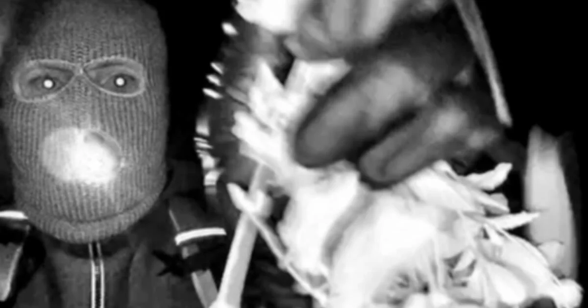 Tucson search in Nancy Guthrie case yields no arrests, authorities say