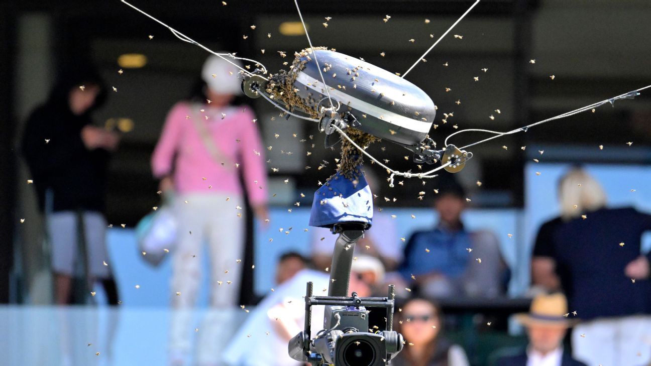 Featured image for "Bee Swarm Causes Chaos at Indian Wells Tennis Tournament"