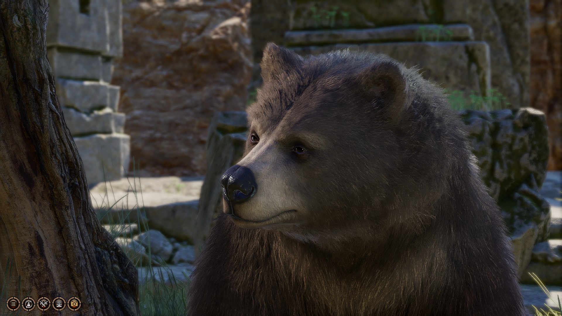 "Baldur's Gate 3: Controversial Character Customization and In-Game Newspaper Manipulation"