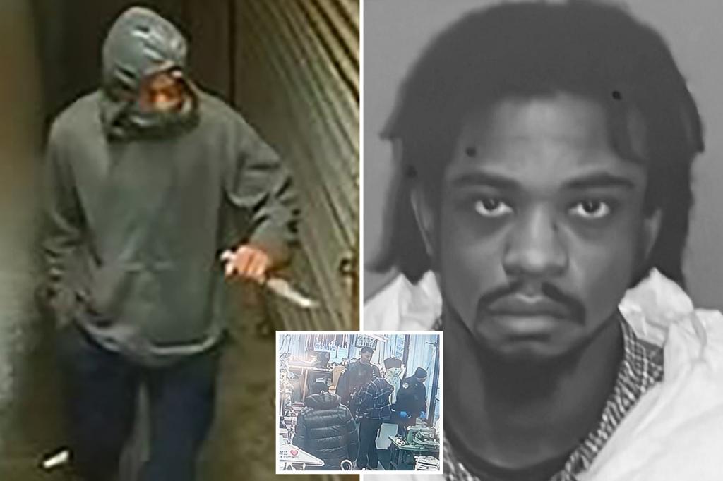 NYC Police Arrest Suspect in Queens Stabbing Spree
