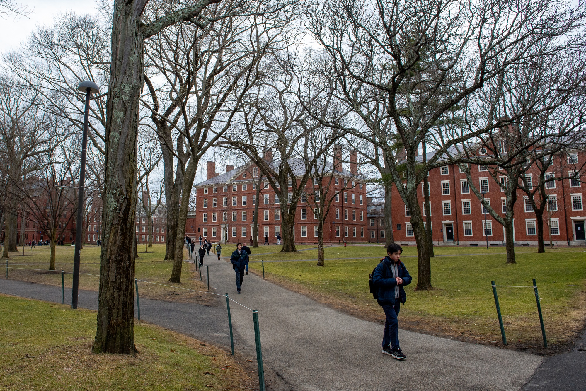 Featured image for US Moves to Revoke Chinese Student Visas Amid Tensions