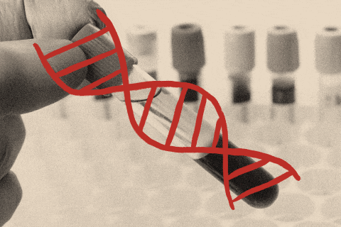 Featured image for Genetic Testing for Cancer Detection: Expert Advice