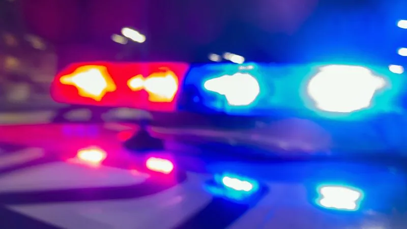 Fatal 3-vehicle crash claims life of Lutz woman on I-4