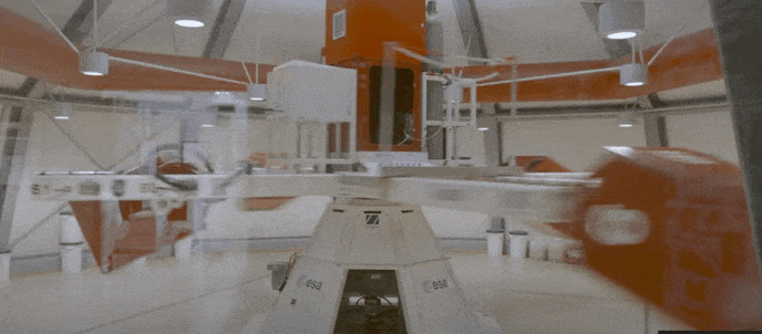 Featured image for "Unleashing the Power of Gravity: Exploring Space Fungi"