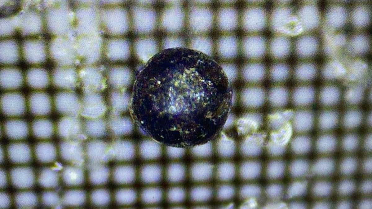 Featured image for "Scientists Clash Over Origin of Mysterious Interstellar Object"