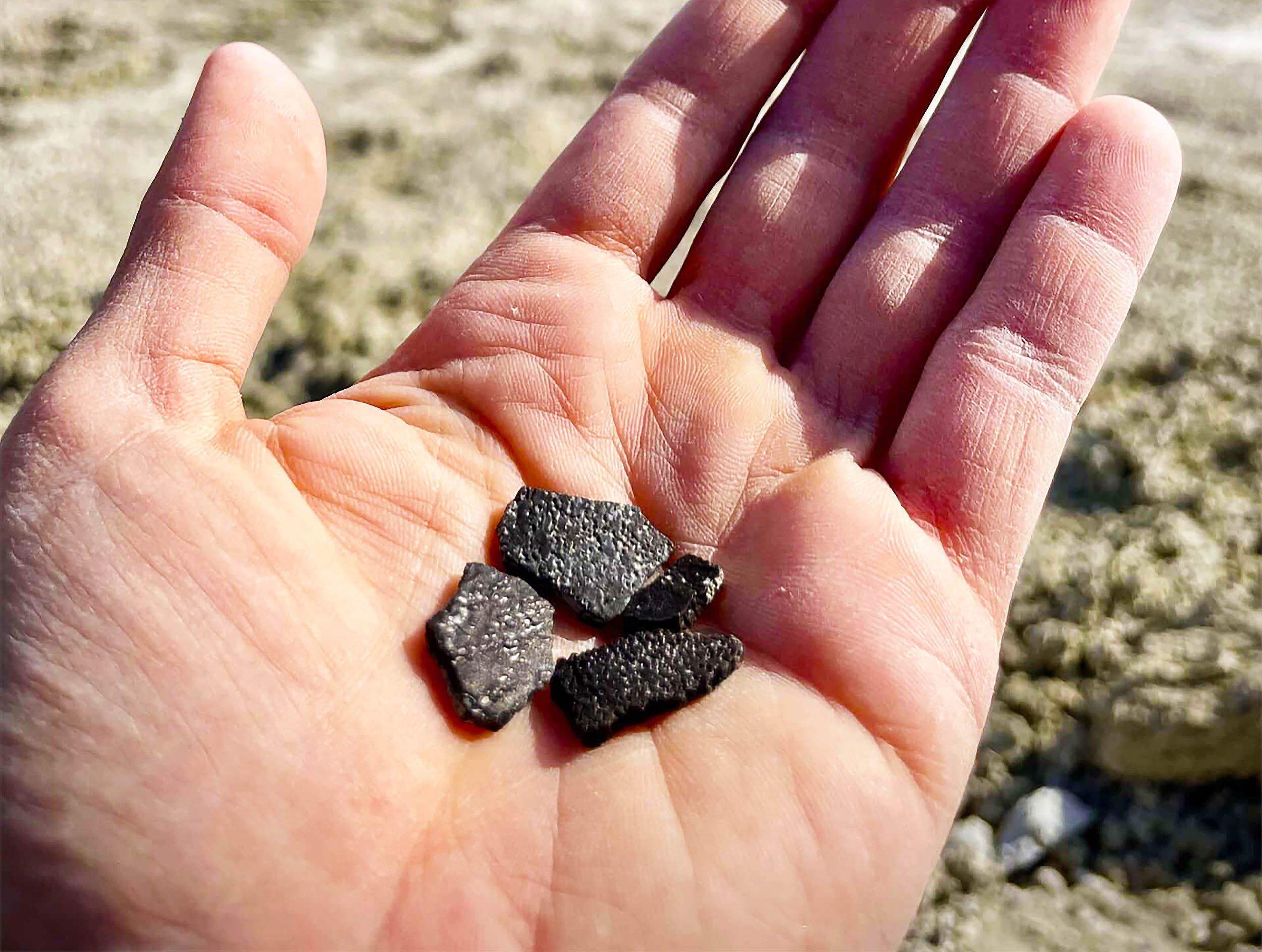 Featured image for Jurassic America Revealed Through 100-Million-Year-Old Dinosaur Eggs