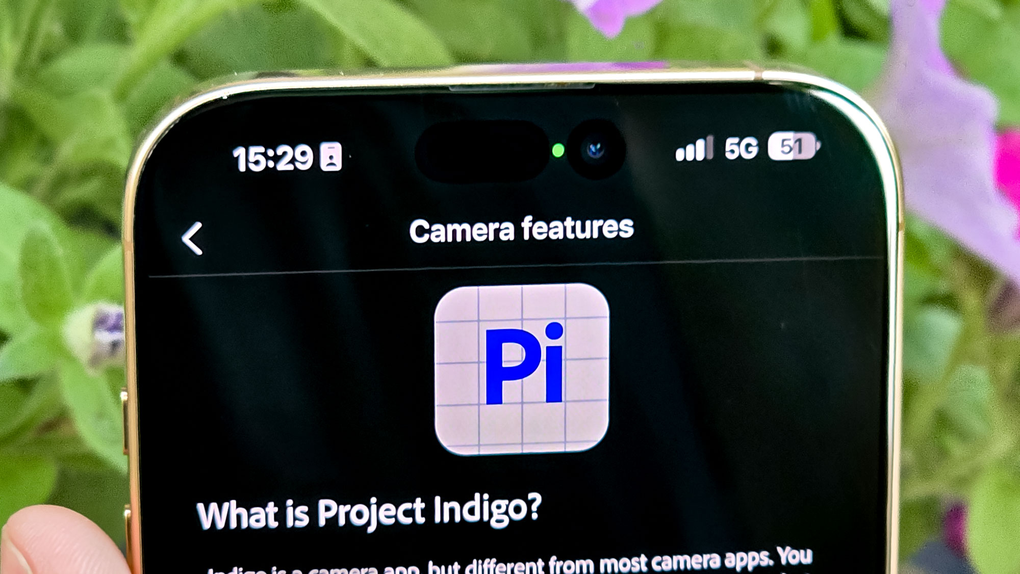 Featured image for Adobe's Project Indigo Could Replace the iPhone Camera App