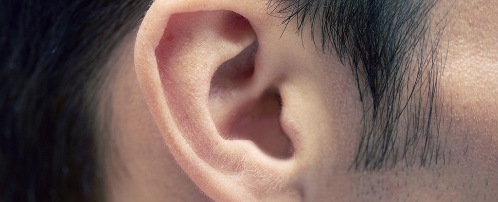 Featured image for Ear Wax Could Signal Early Parkinson's, Study Suggests