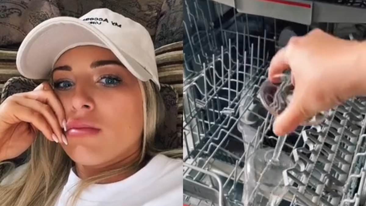 Featured image for "Surprising Dishwasher Feature Leaves TikTok Users in Awe"