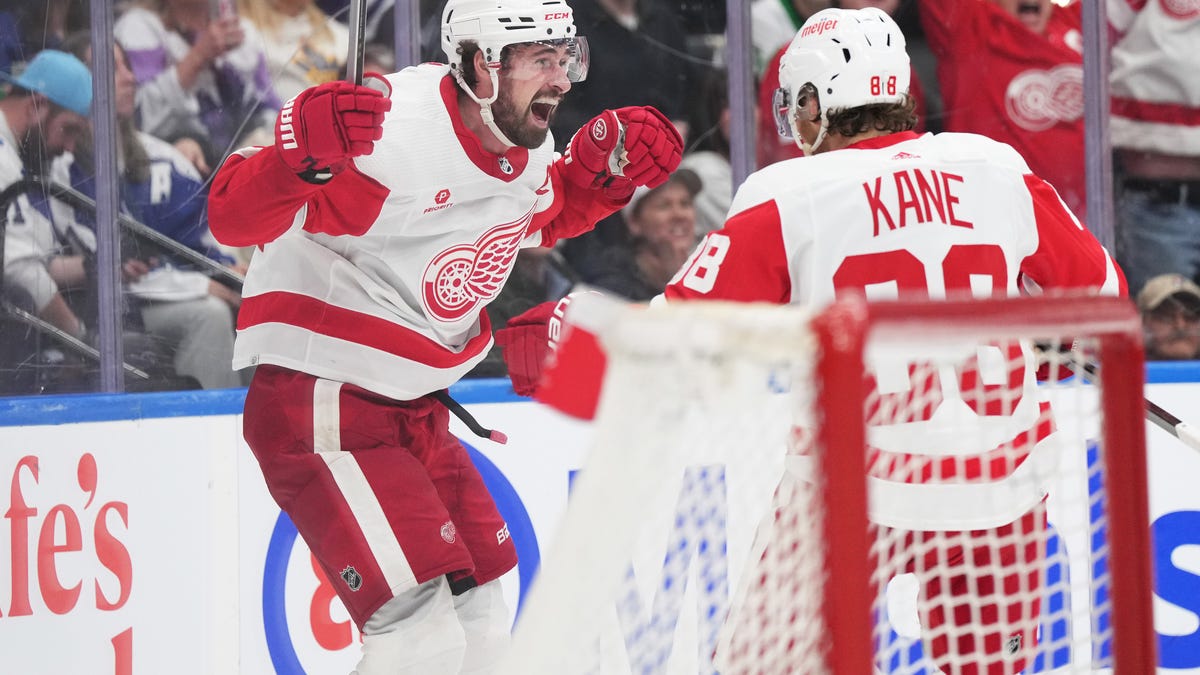 Featured image for "Red Wings Secure Playoff Spot with Overtime Win Against Maple Leafs"