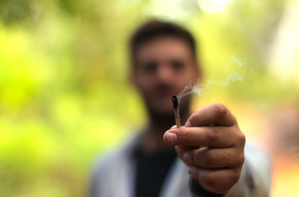 Featured image for "Cannabis and Exercise: Impact on Emotions and Performance"