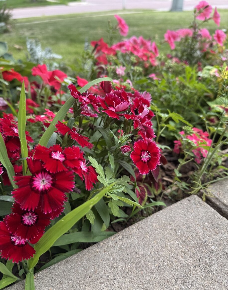 Featured image for Top Highlights from Bluesky on Day 92