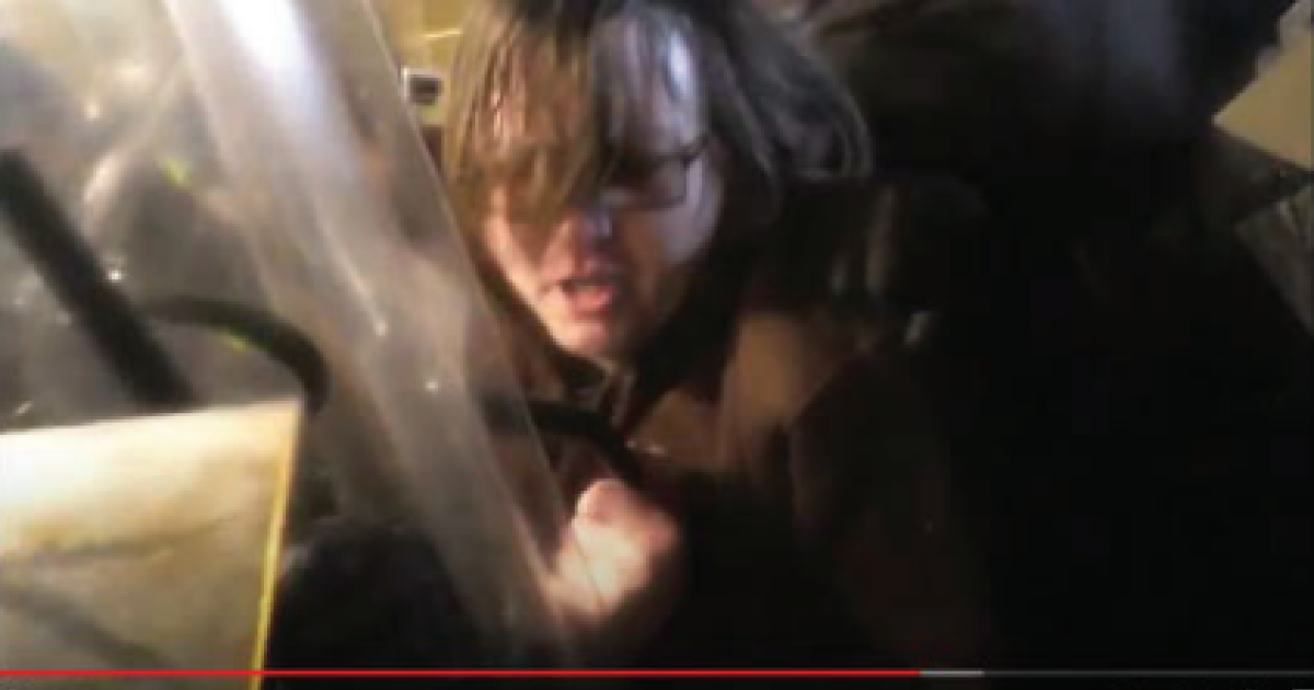 Multiple Jan. 6 Capitol Rioters Sentenced to Over 7 Years in Prison for Assaulting Police Officers