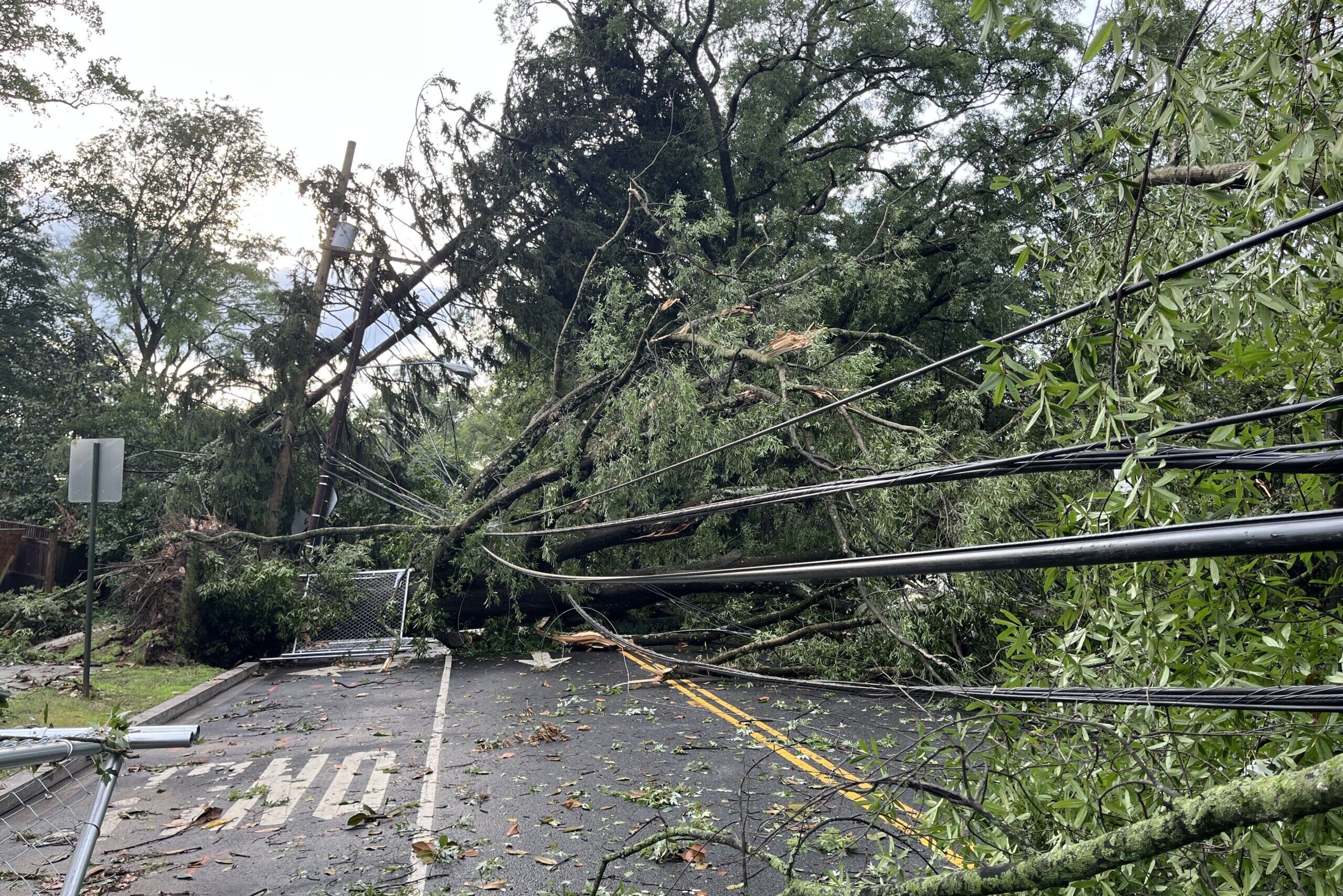 "Storms Ravage Virginia, Leaving Thousands Without Power and Destruction in Their Wake"