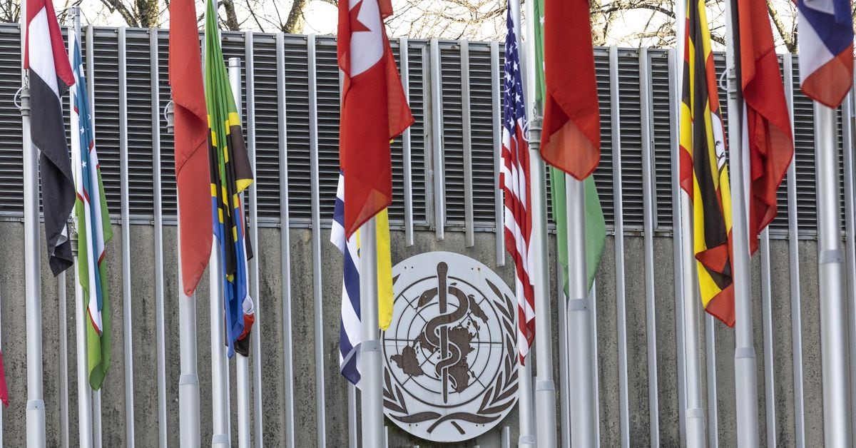 Featured image for Sudan laboratory seizure poses high biological hazard risk, warns WHO.