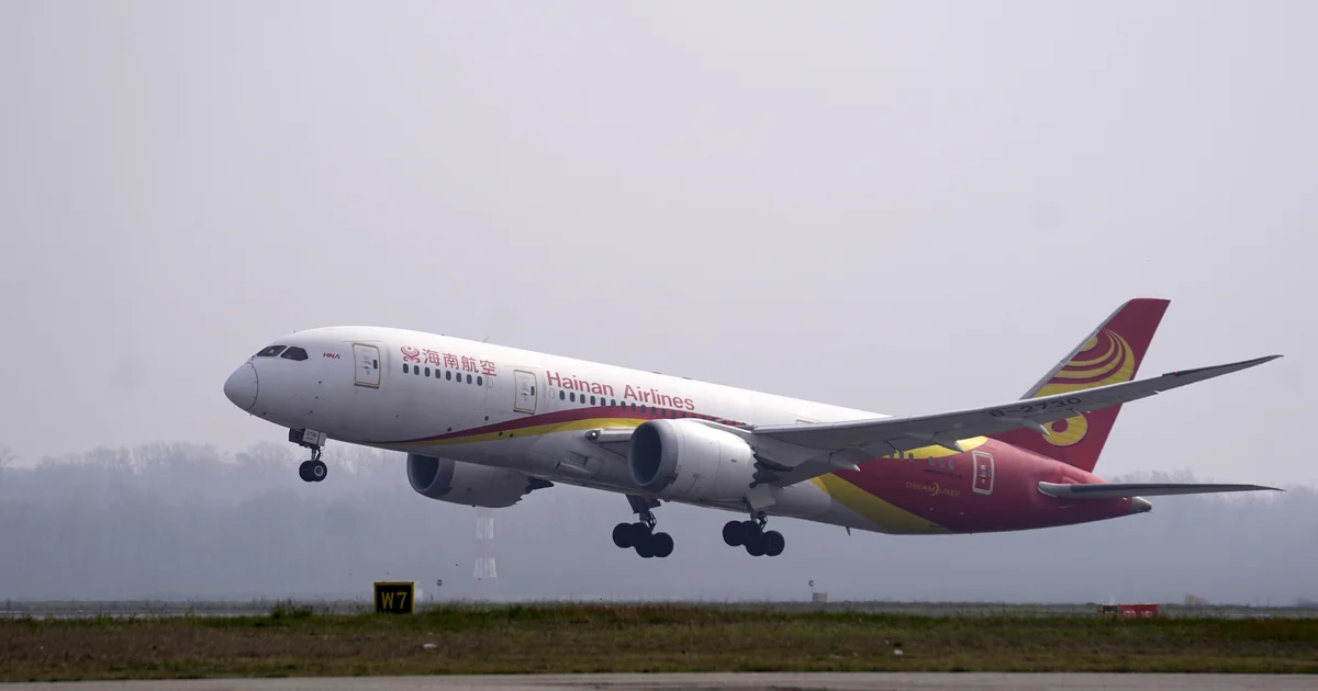 Featured image for Bird Strike Forces Rome-Bound Plane to Return After Fire