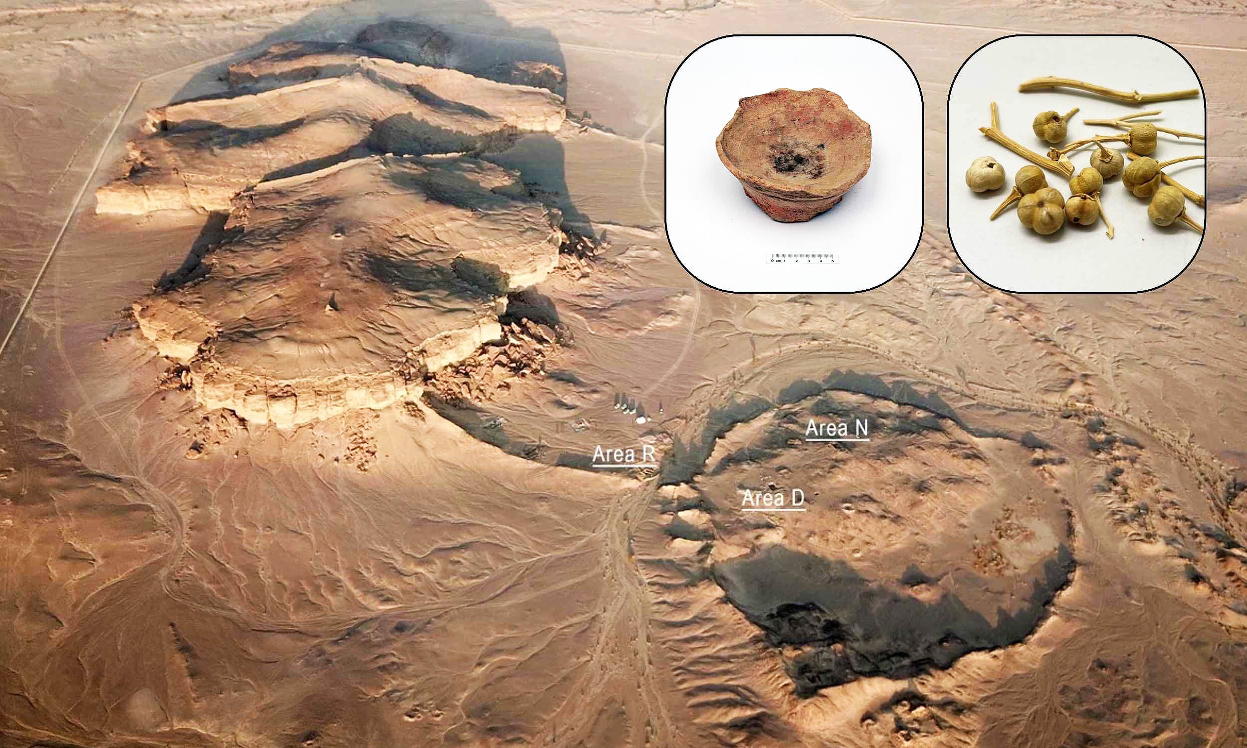 Featured image for Ancient Psychoactive Plant Use Caused Hallucinations 2,700 Years Ago