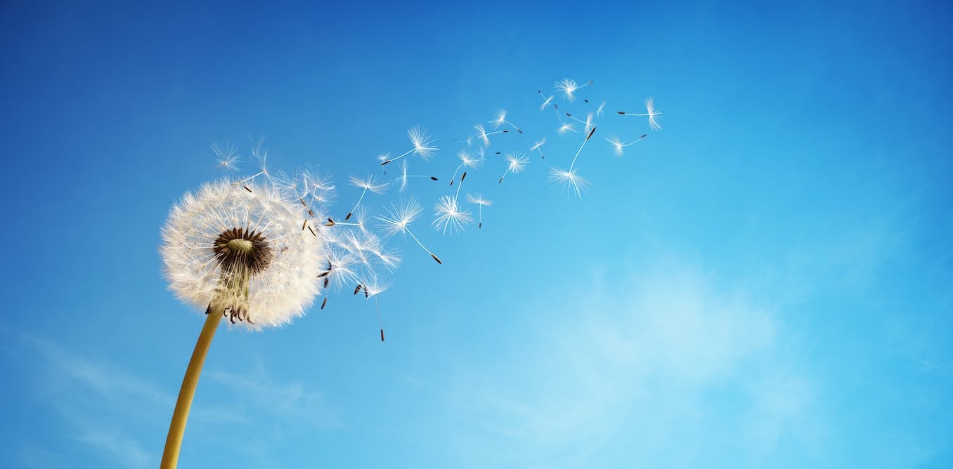 Featured image for The Overhyped Reality of New Alzheimer's Drugs