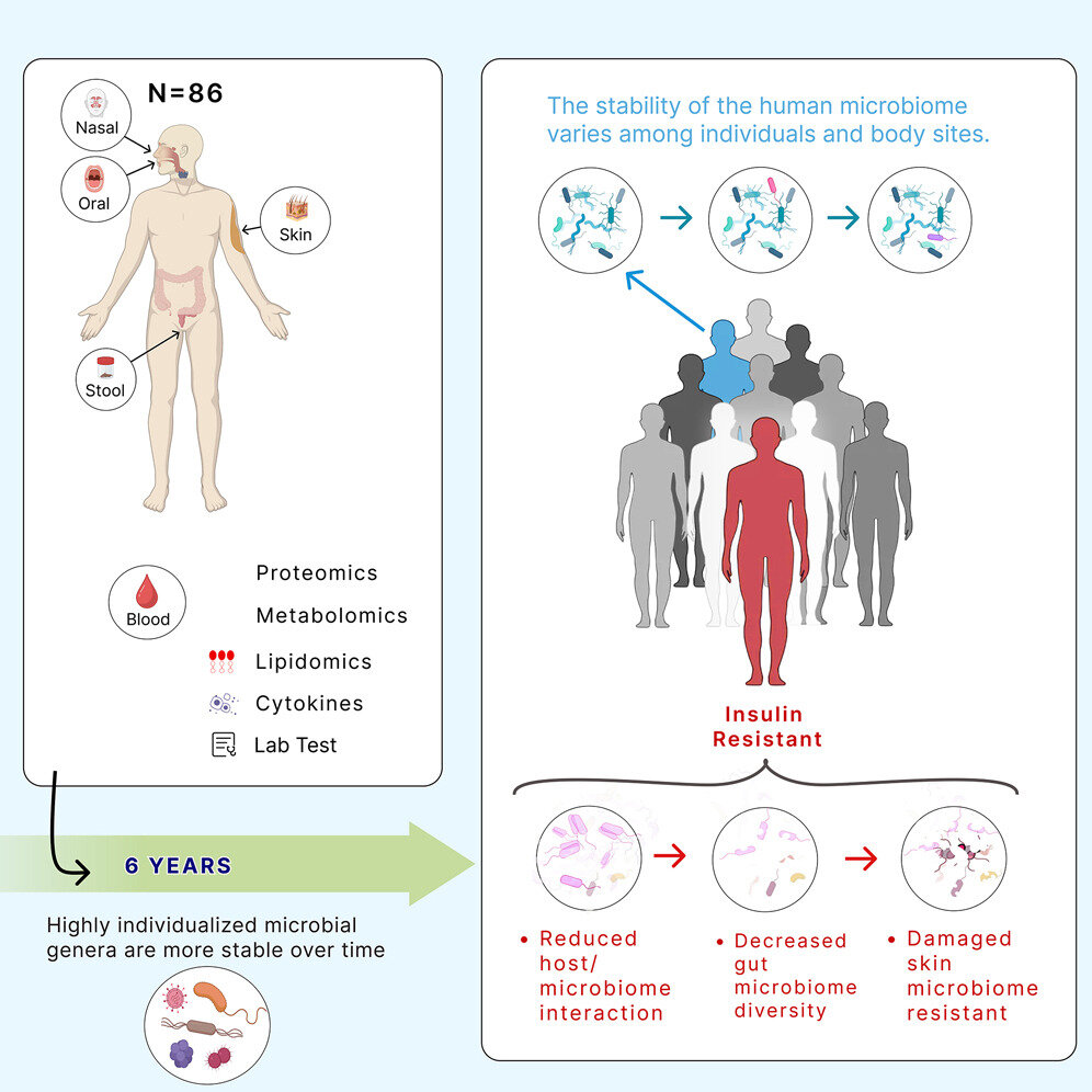 "Unveiling the Personalized Nature of Our Bacteria: Insights from a New Study"