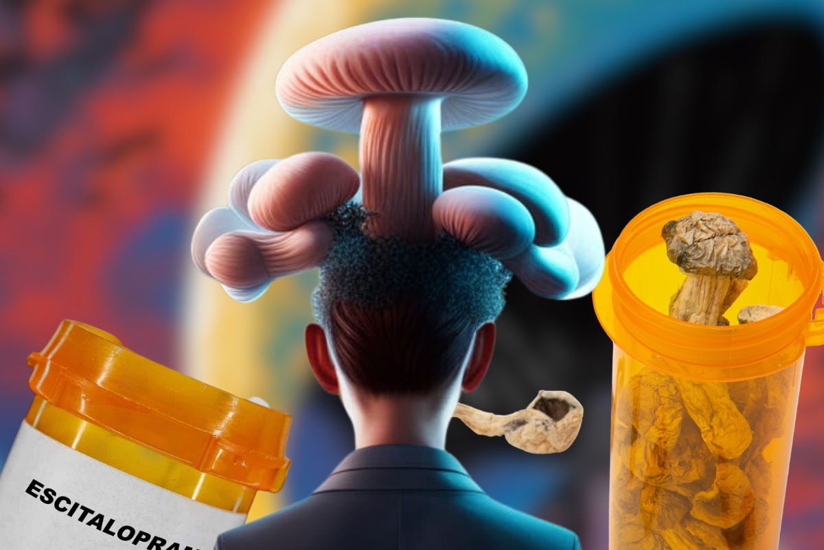 Comparing the Long-Lasting Anti-Depressant Effects of Psilocybin and Escitalopram