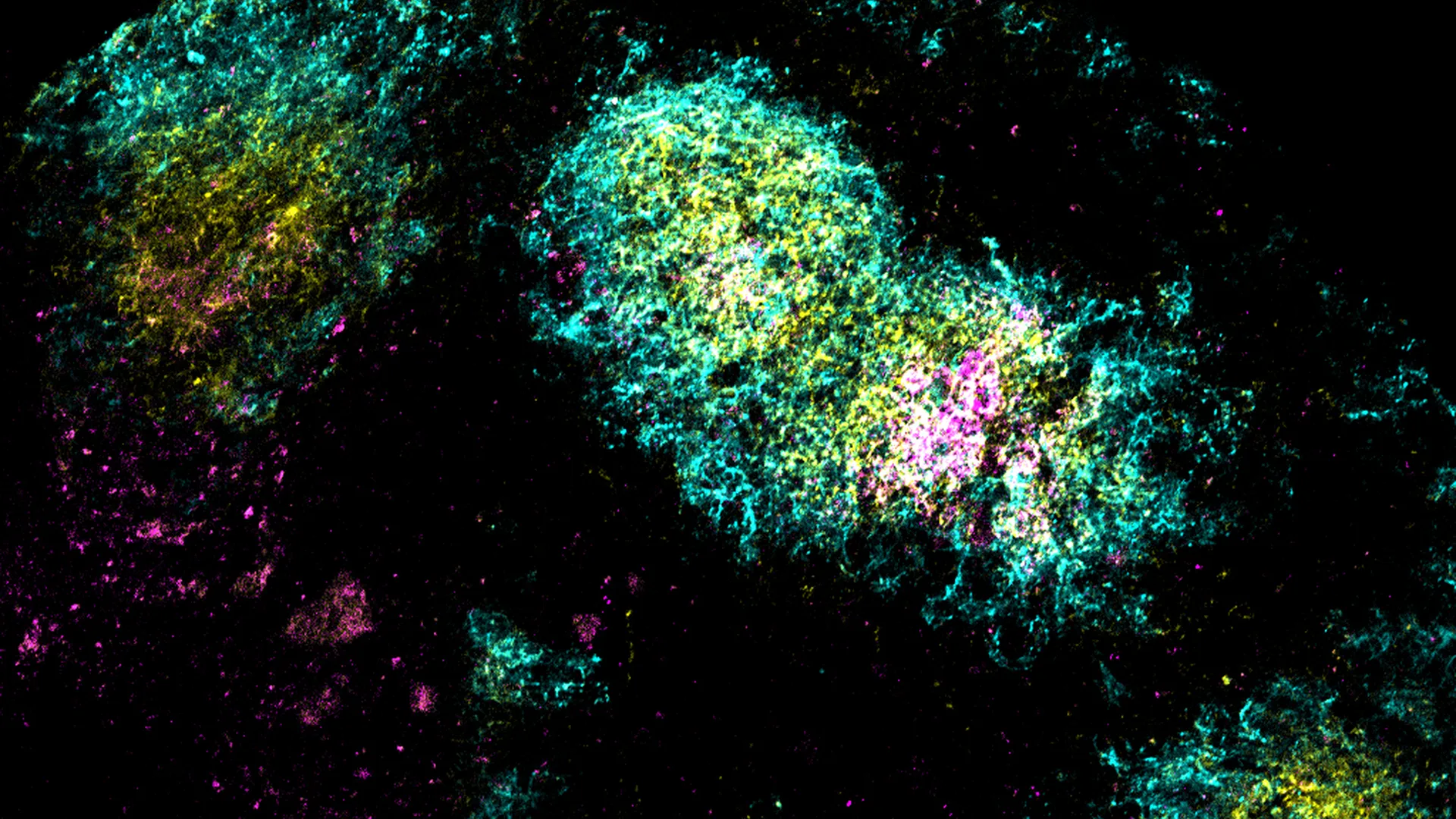 Featured image for MIT's Single-Dose HIV Vaccine Breakthrough Offers New Hope