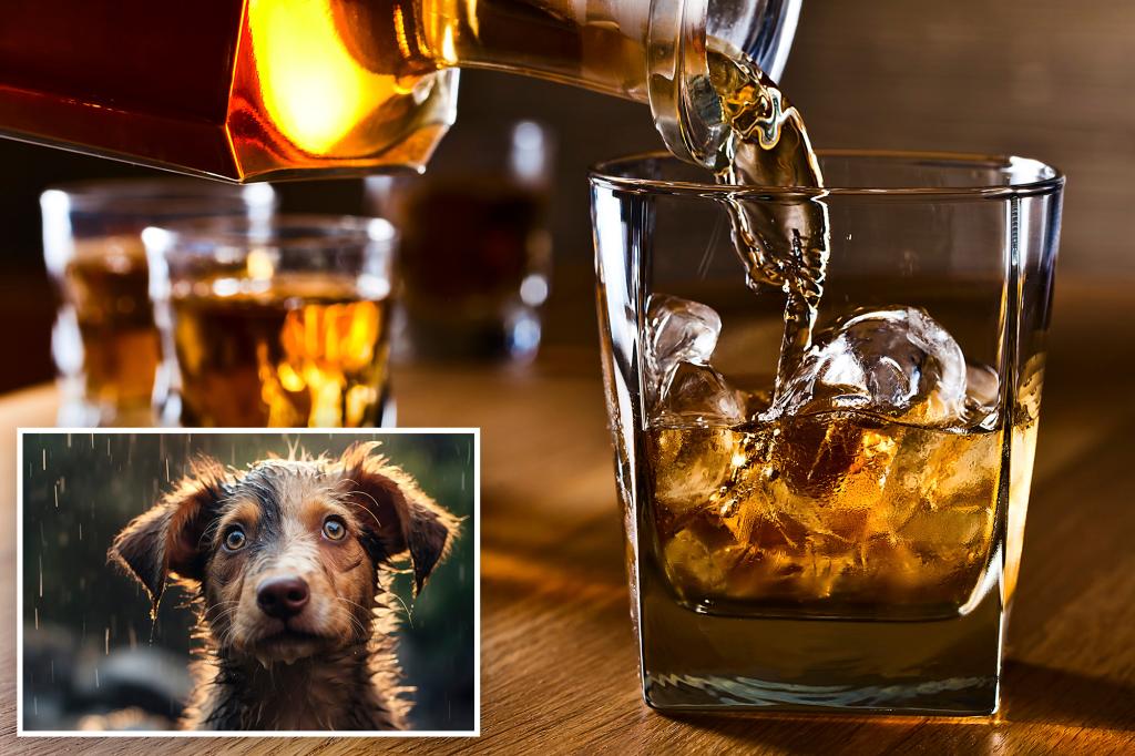 Featured image for Alcohol's Influence: Just One Drink Increases Likelihood of Harm, Study Finds