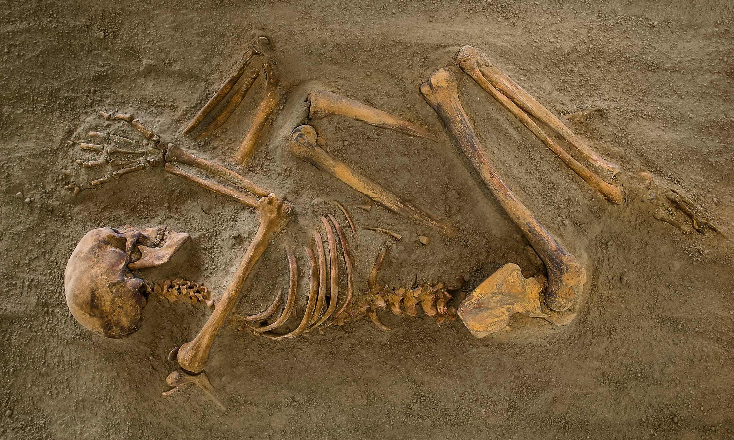 Featured image for Ancient DNA Challenges South African Migration Theories