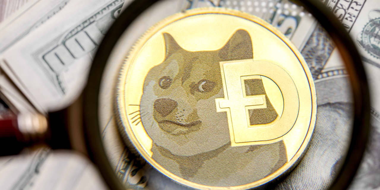 Elon Musk's Twitter Logo Change Sends Dogecoin Soaring