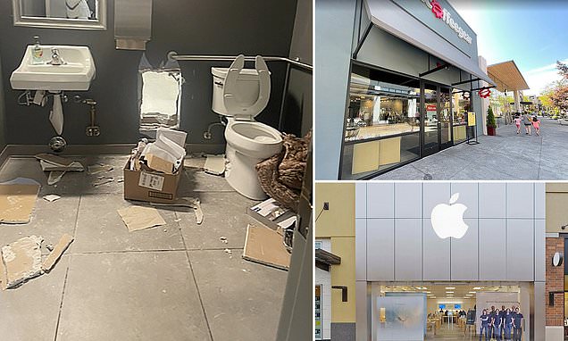 Burglars use tunneling to steal $500,000 worth of Apple products.