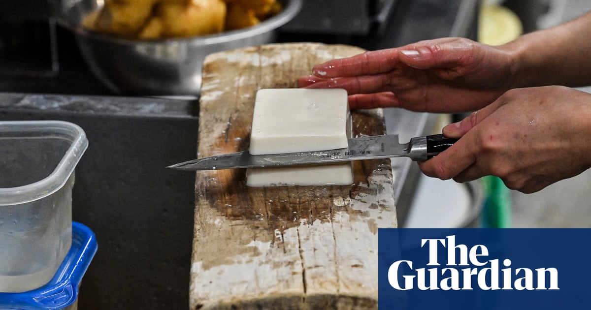 Featured image for "Climate-Friendly Protein: Sustainable Sources and Strategies"