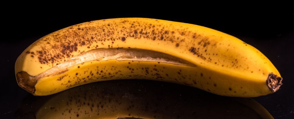 Featured image for "Surprising Benefits of Using Banana Peel in Recipes"