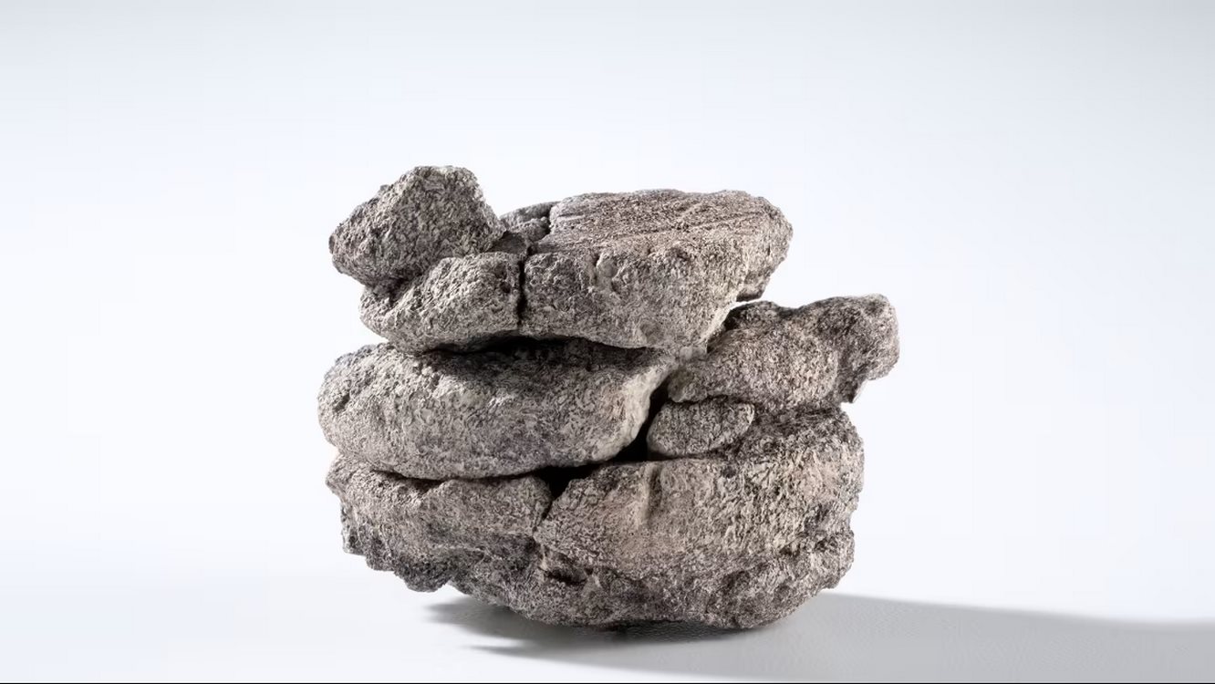 Featured image for Denver Museum Uncovers 68-Million-Year-Old Dinosaur Fossil Beneath Its Parking Lot