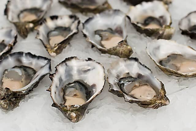 FDA Issues Warning Against Selling Contaminated Groton-Harvested Oysters
