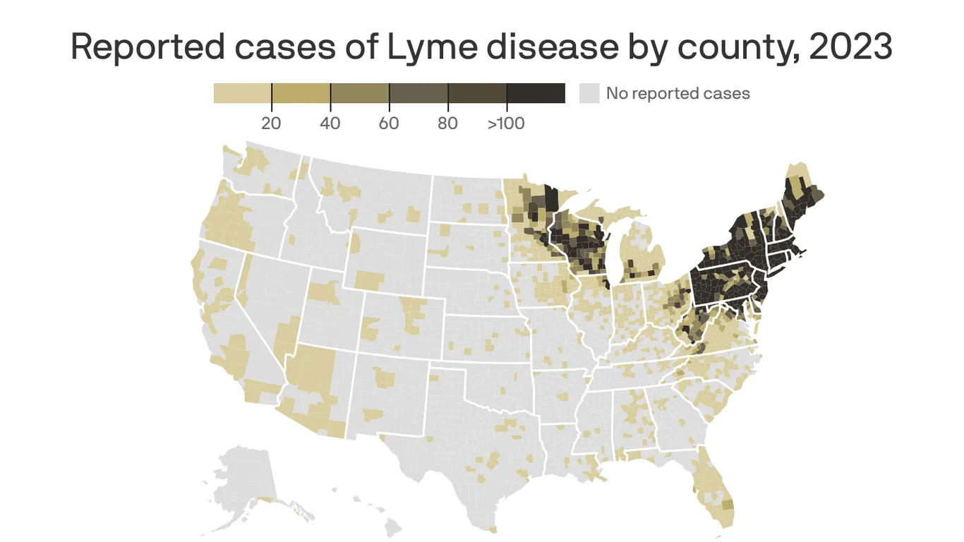 Featured image for Justin Timberlake's Lyme Disease Diagnosis Highlights Rising Tick-Bite Risks