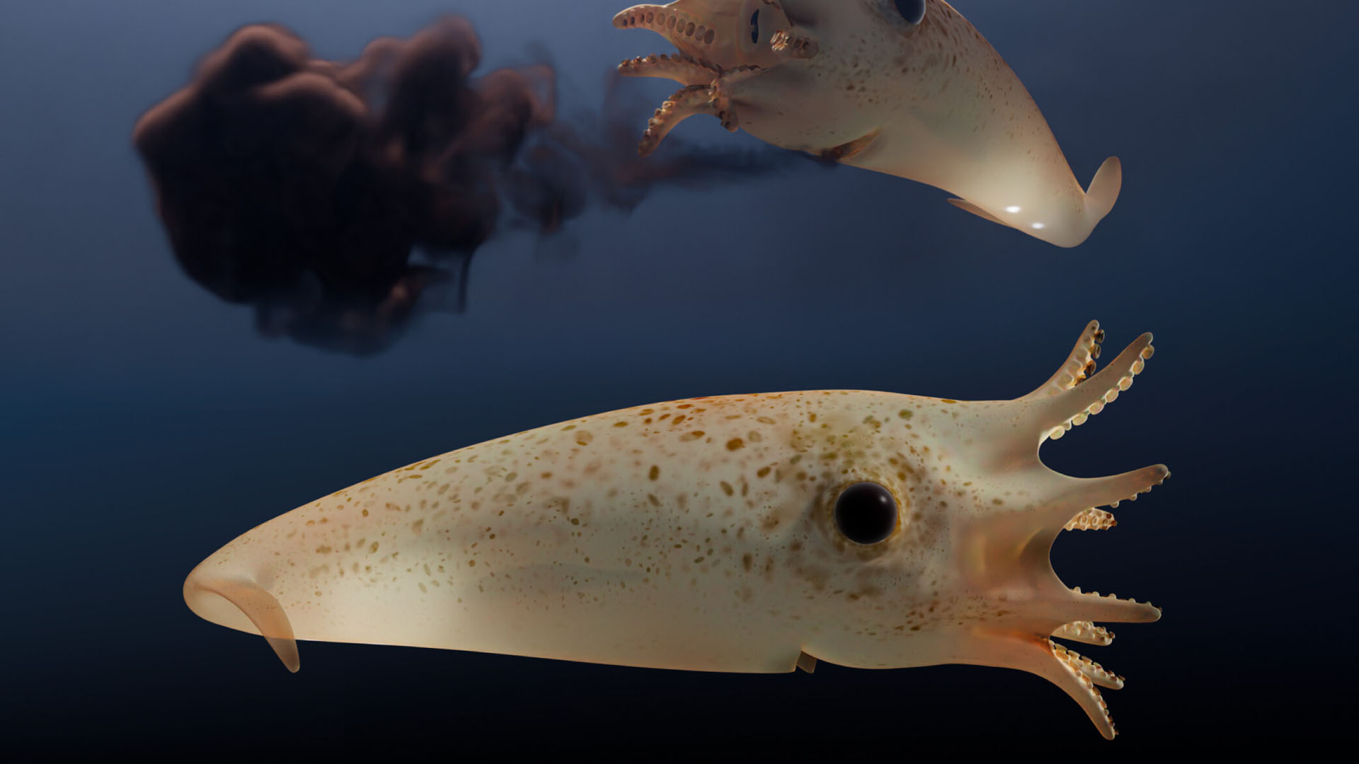 Ancient 'Fleeing Vampire' Squid: Glowing Organs and Prey-Snatching Suckers