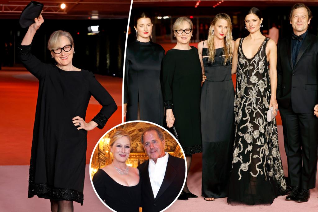 Featured image for "Meryl Streep's Rare Red Carpet Reunion with All 4 Kids Amidst Don Gummer Separation"