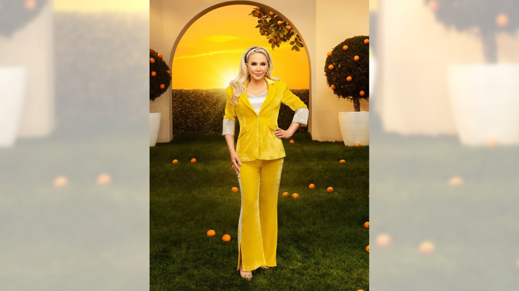 "Real Housewives Star Shannon Beador Arrested for DUI and Hit-and-Run Incident"