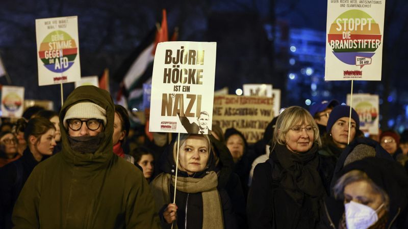 "Protests Mount Against Germany's Far-Right AfD Deportation Plan"