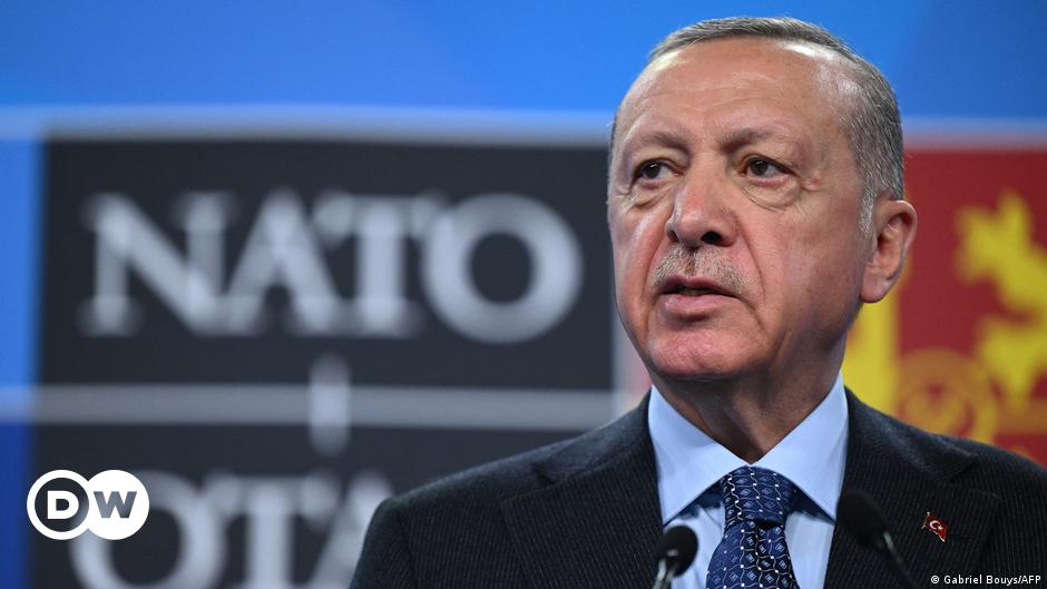 Understanding Turkish President Erdogan's NATO U-turn: Unveiling the Motives