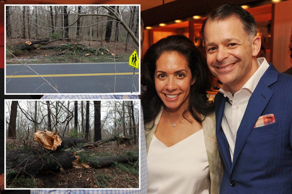 "Yankees Executive's Wife Killed in Storm-Induced Tragedy"