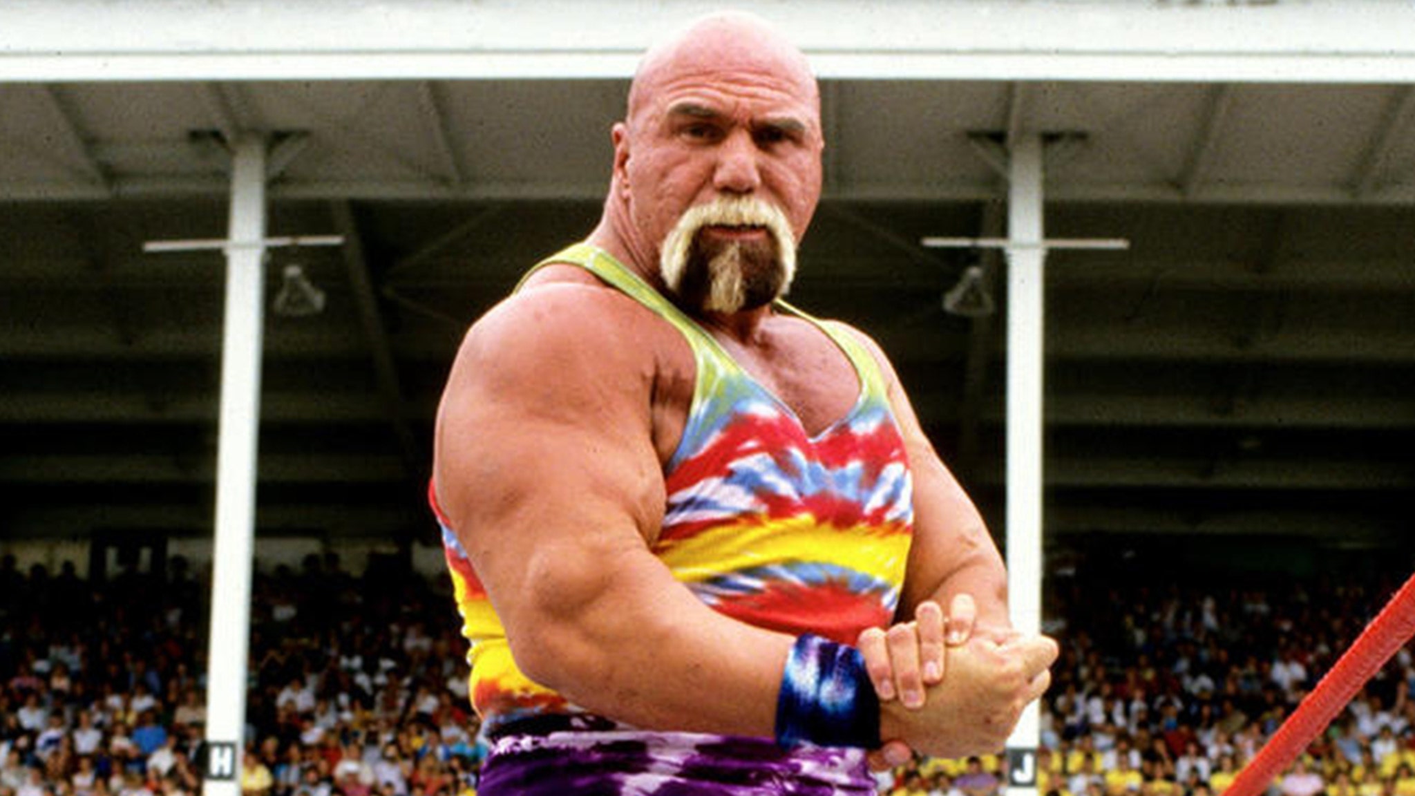 WWE Legend Superstar Billy Graham's Health in Critical Condition on Life Support