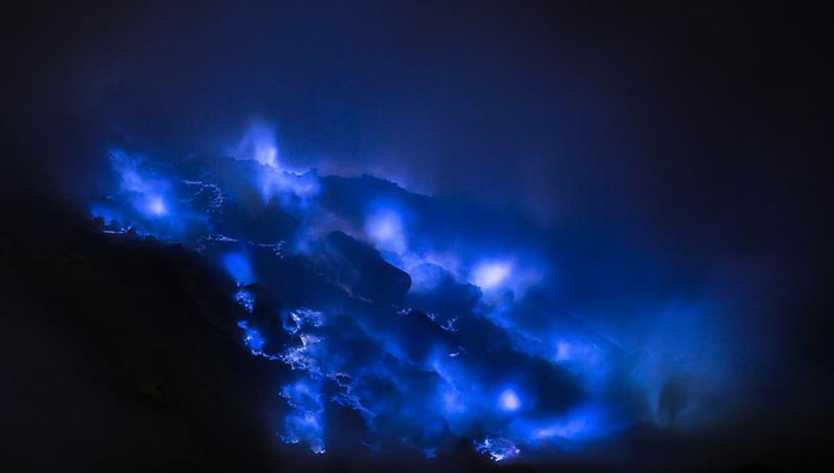 "The Perils of Devil's Gold: Unveiling Its Deadly Nature"