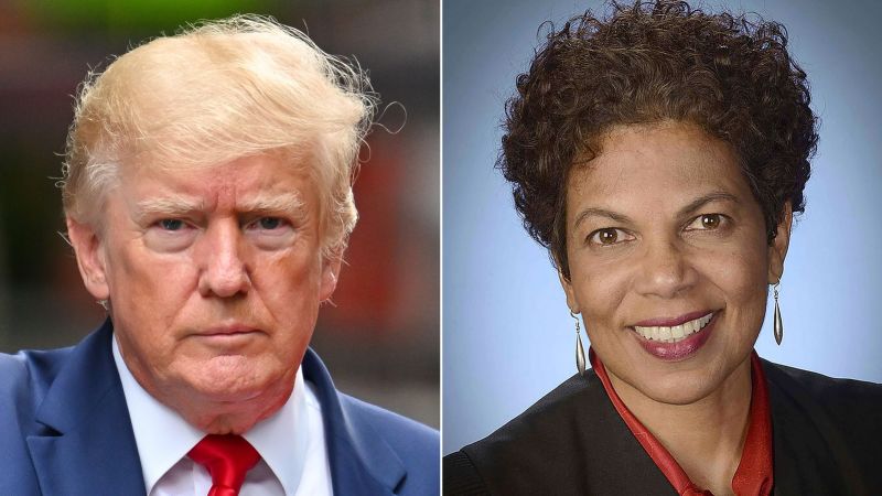 "Trump Defiantly Continues Spreading Election Conspiracy Despite Judge's Warnings"