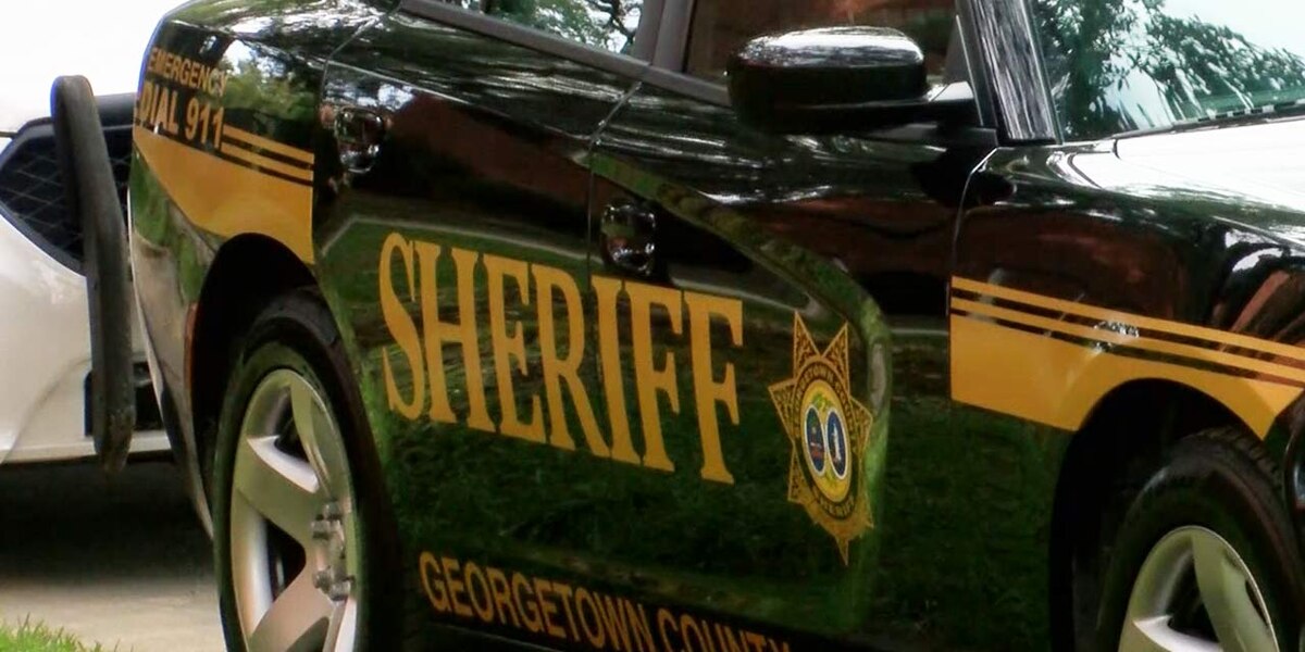 Featured image for "Georgetown County Deputies on the Hunt for Escaped 14-Year-Olds"