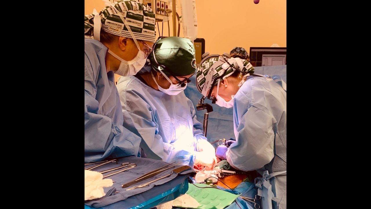 Featured image for "Advancements in Animal-to-Human Organ Transplants: Pig Kidney Successfully Transplanted for Third Time, Clinical Trials on the Horizon"
