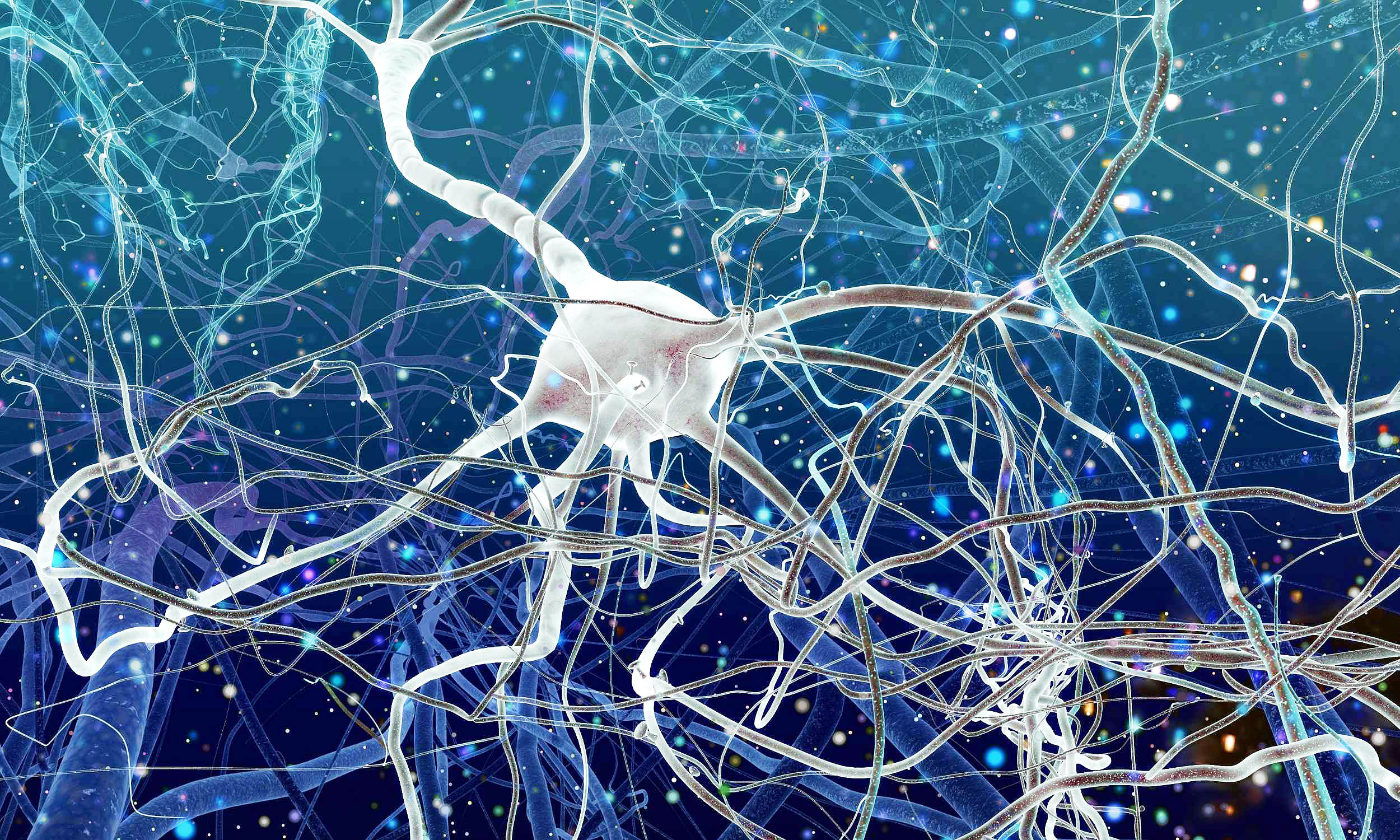 Brain Mitochondria Map Sheds Light on Cognitive Decline