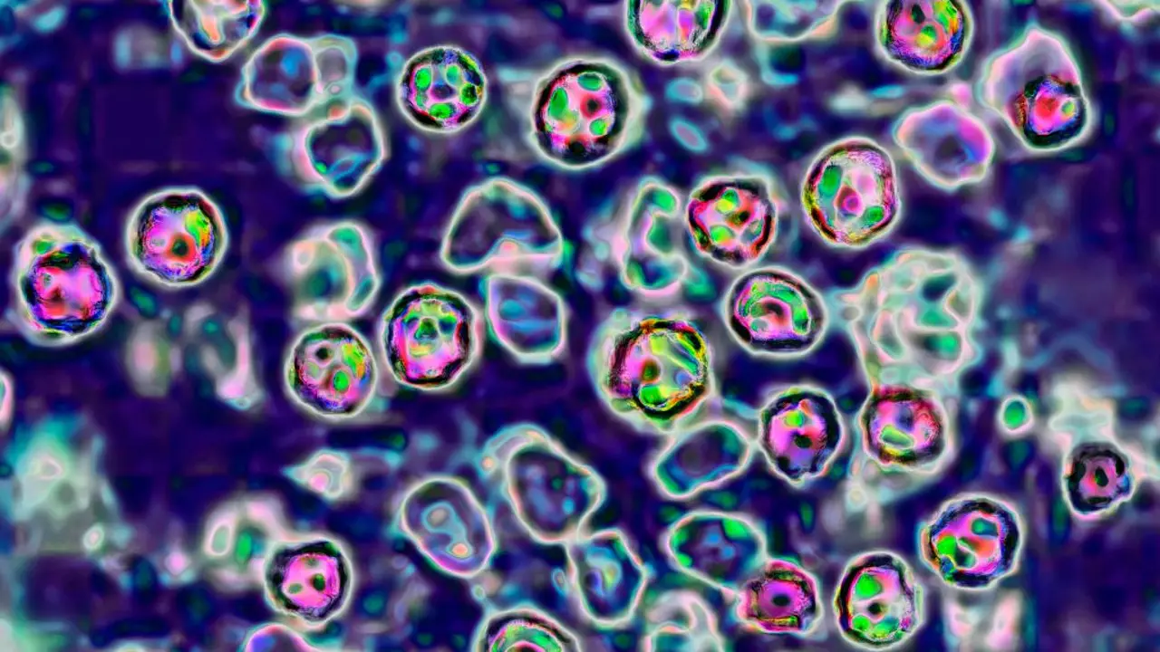 Featured image for "Measles Exposure Risk at Southwest Suburban Walmart Store Prompts Public Health Alert"